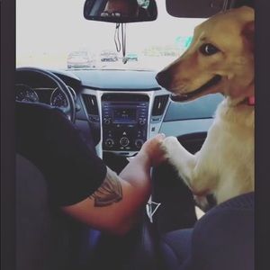 Meet your Posher, Monica